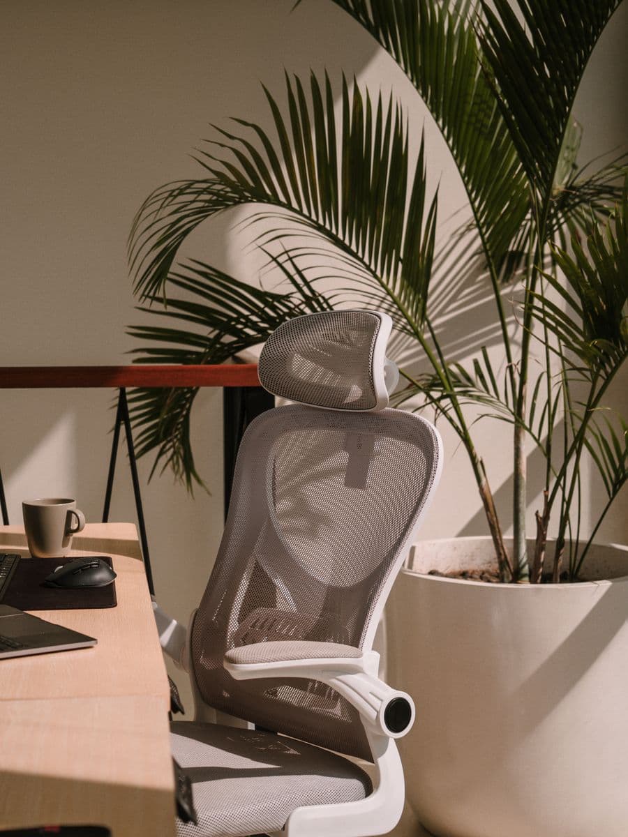 Desk with laptop, keyboard and ergonomic chair in warm afternoon light at TheHub